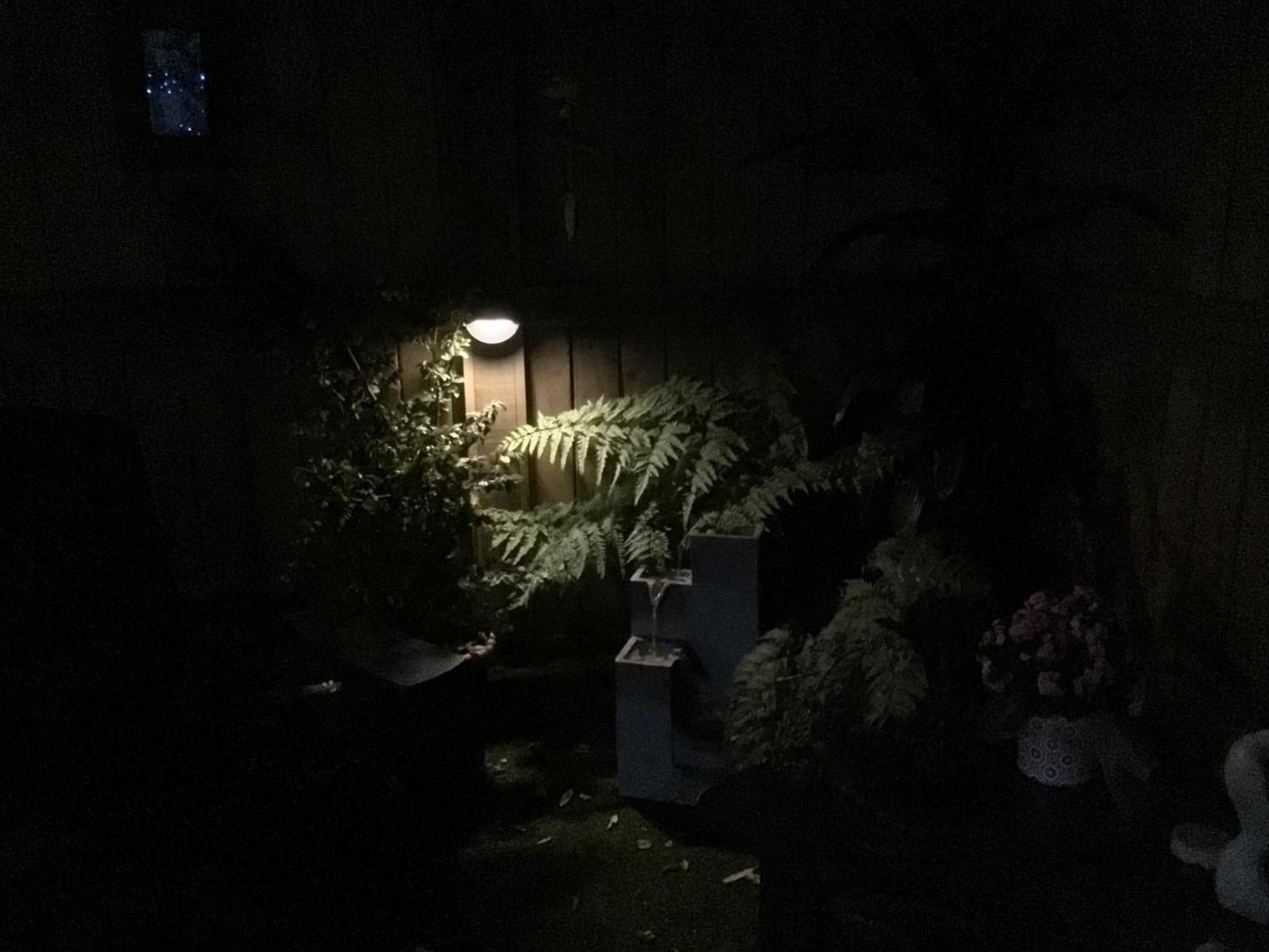 Tranquil Garden Studio Tauranga Ngoại thất bức ảnh